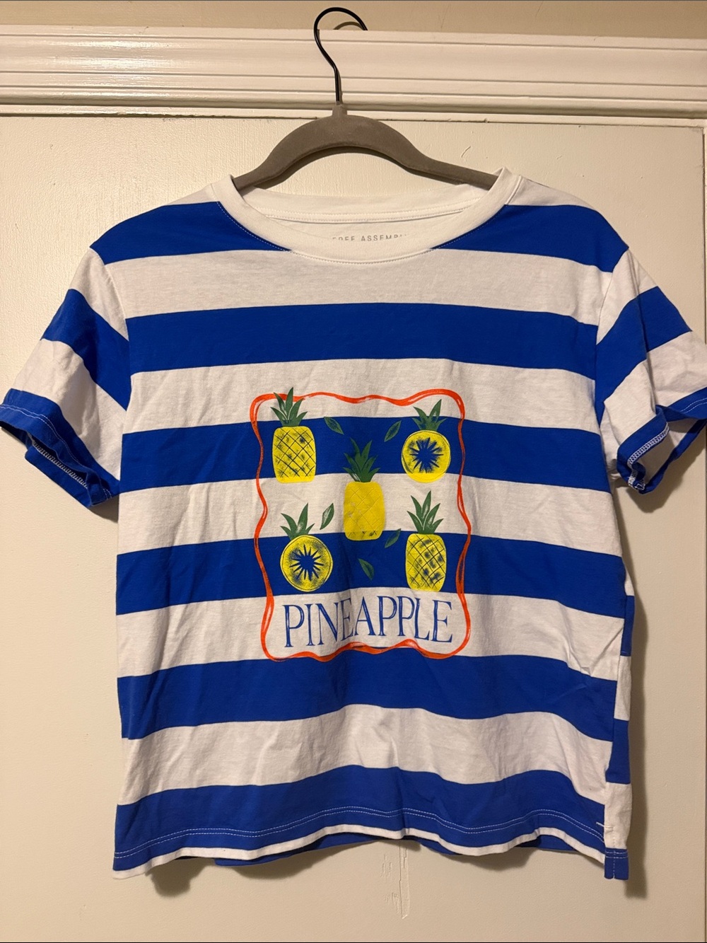 Ladies blue  & White Striped Pineapple Graphic Tee